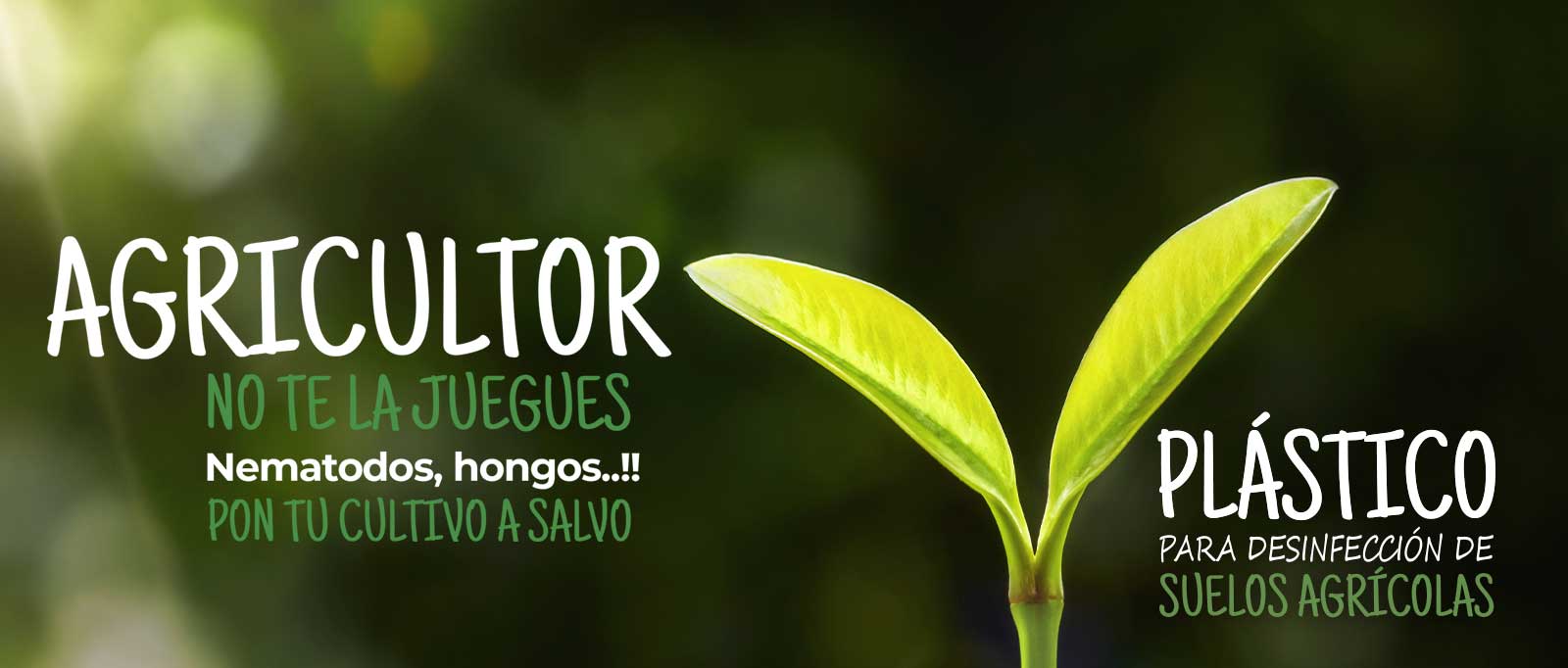 SLIDERLANDINGDESINFECCIONWEB SLIDERLANDINGDESINFECCIONWEB